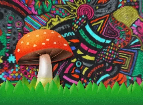Magic Shroom 1