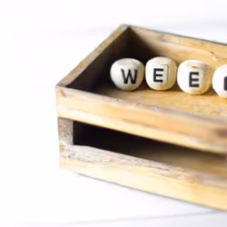 项目媒体占位符