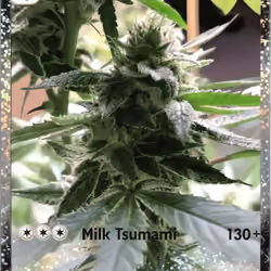 Loud&Clear #10085