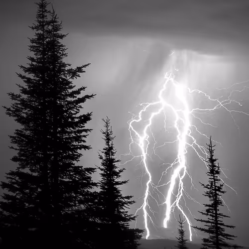 Nature At Its Best 9