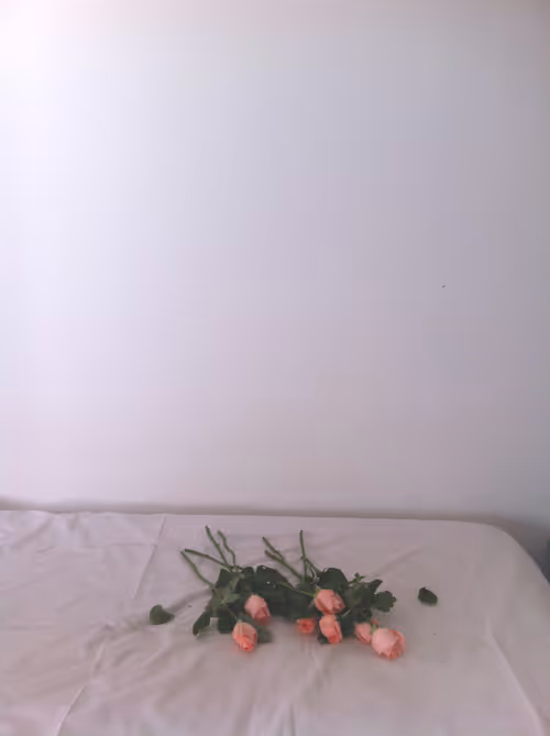 Item #25 Media