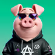 Pig 578