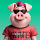 Pig 576