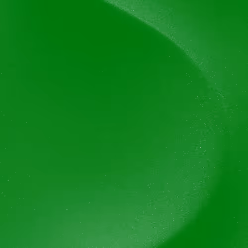 Rodeo Posts 11