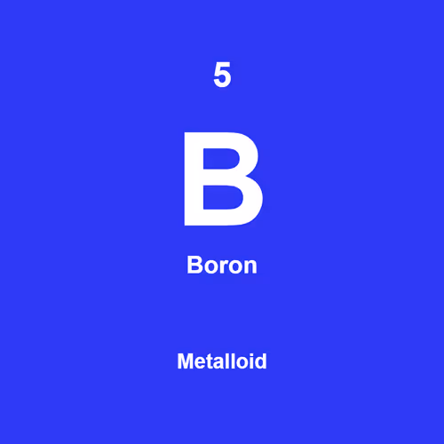 Item #5 Media