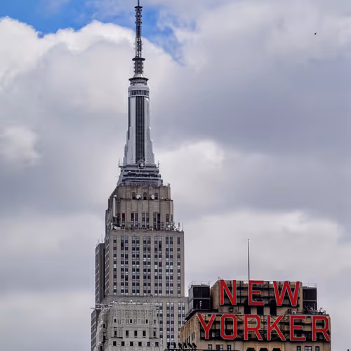 Outrageously Based Cat