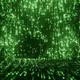 The matrix