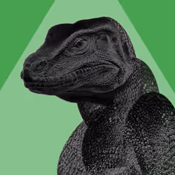 Komodo Dragons #104
