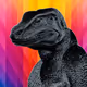 Komodo Dragons