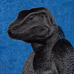 Komodo Dragons #106