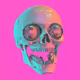 Glitch Skulls #520