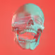 Glitch Skulls #204