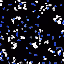 981