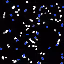 555