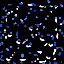 443