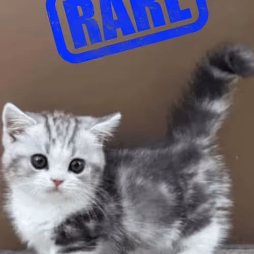 1128