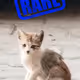 2211