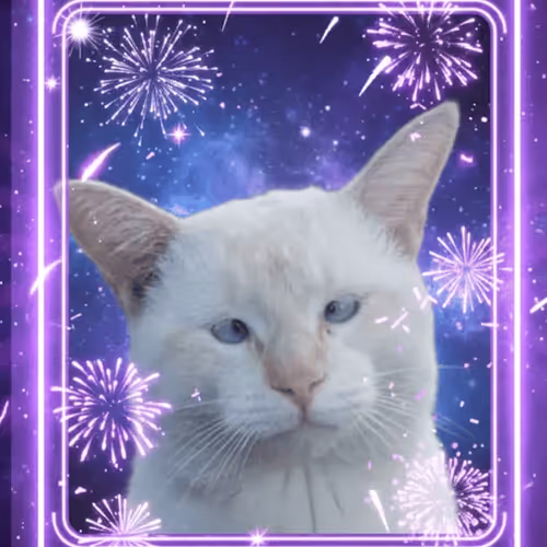 593