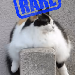 1575