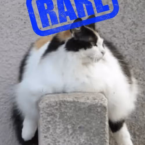 1175