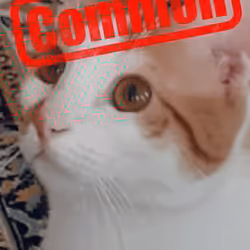 1189