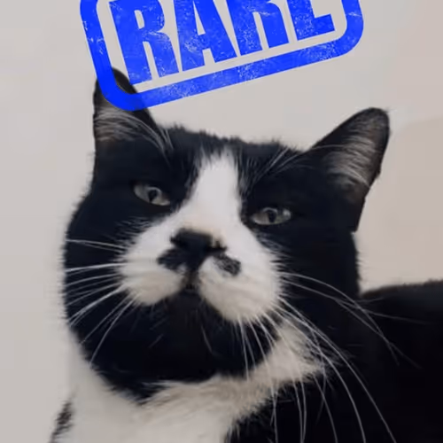 1629