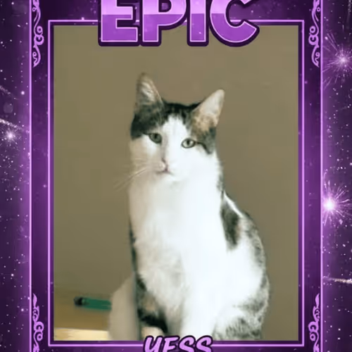 865