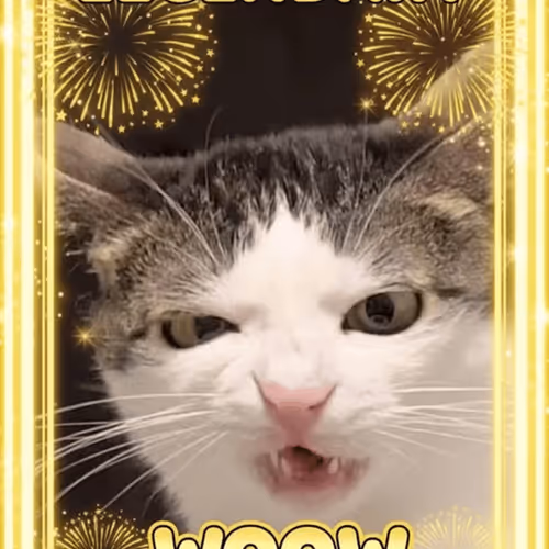 1098