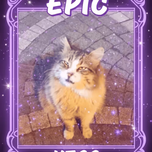 1543