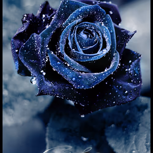 0c40a479335aaf30cb33bfd1b78921b4_full