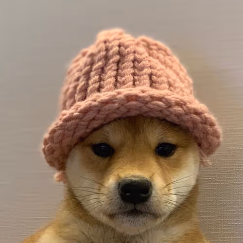 dogwifhat
