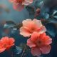 2246