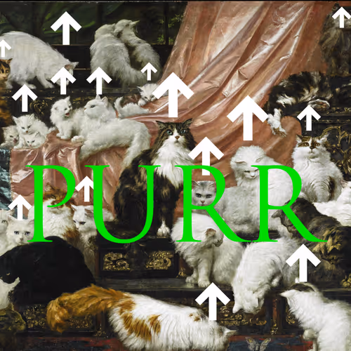 Purr Higher