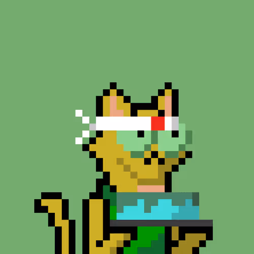 Cat #1978