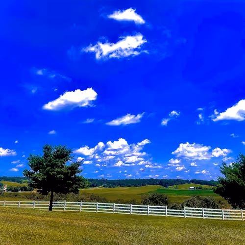 Out Of The Clear Blue Sky