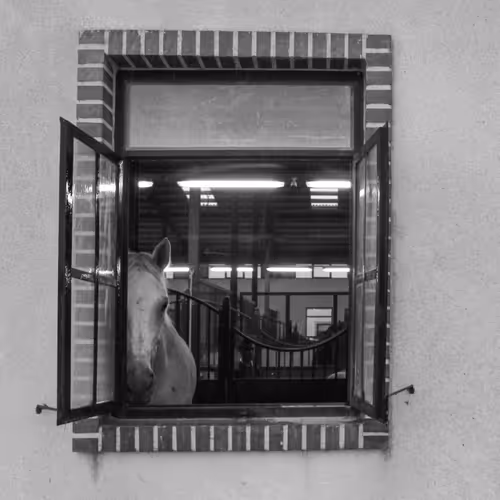 White Horse Window
