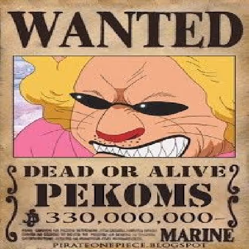 Wanted 23