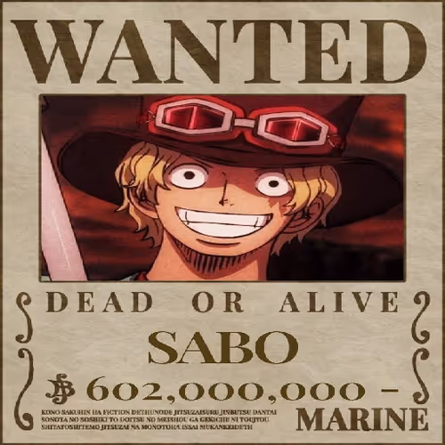 Wanted 23
