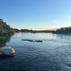 專案媒體佔位符