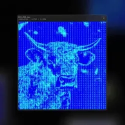 Bullish on base