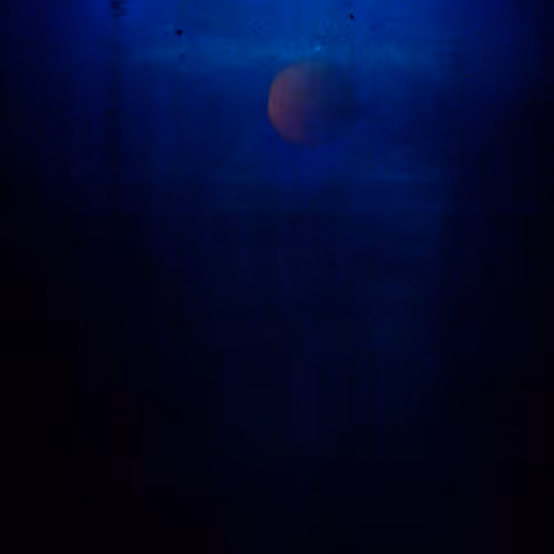 sargasso sea