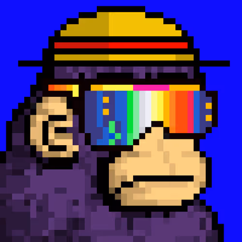 BaseKongs #977