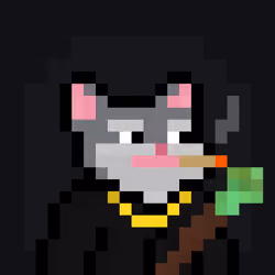 Caster Cats #2262
