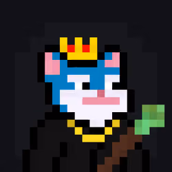 Caster Cats #593