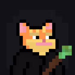 Caster Cats #1897