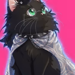 5555