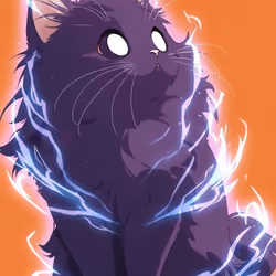 5585