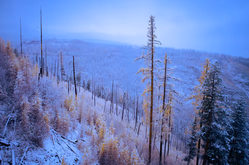 Item #3 Media