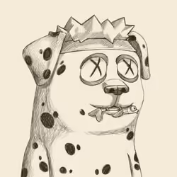 Base Doge Club #1355
