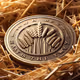 Hay Coin